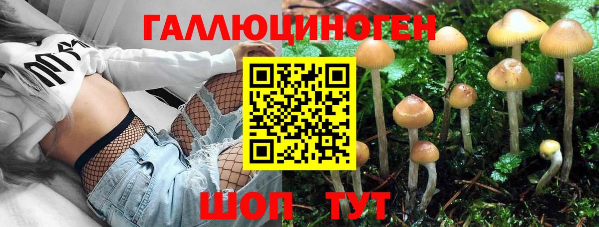 Псилоцибиновые грибы мухоморы Новоалтайск
